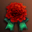 Carnation (Time-limited)