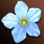 Spring Energy (Time-limited)