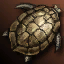 Turtle - Shield